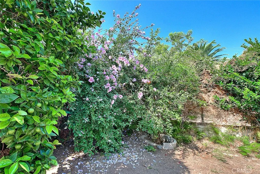 219 S Avenue 60, Los Angeles, California 90042 home-pic-31