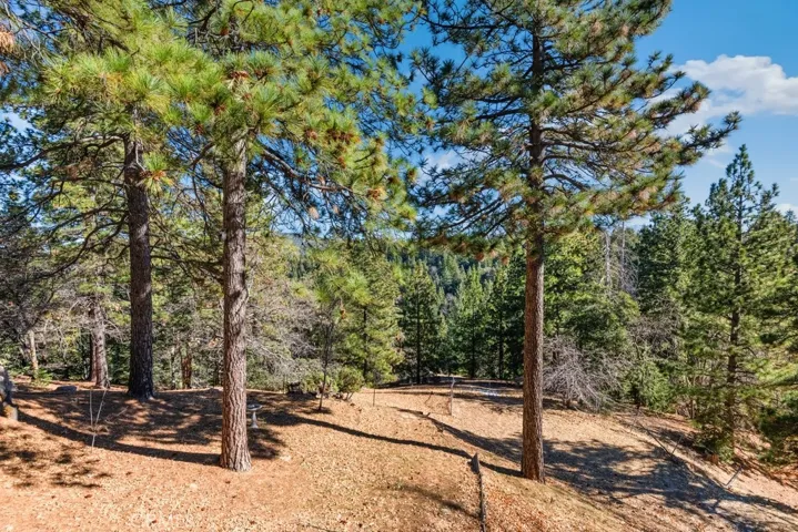 1993 Nob Hill Drive, Running Springs, California 92382