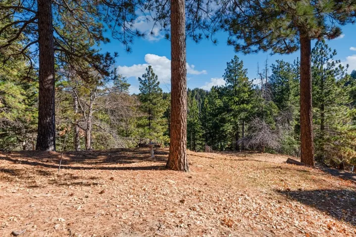 1993 Nob Hill Drive, Running Springs, California 92382