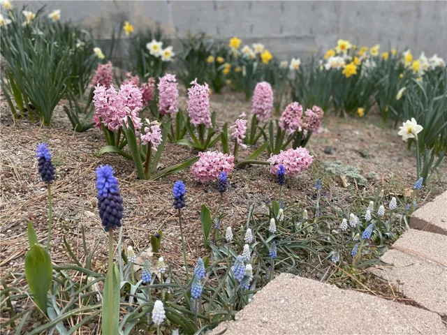 1993 Nob Hill Drive, Running Springs, California 92382