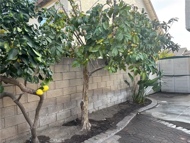 4951 Malaga Drive, La Palma, California 90623