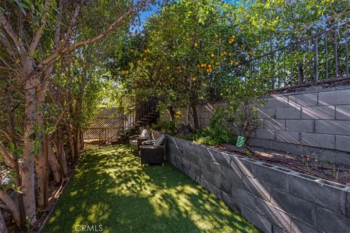 Backyard 2-Lower Level