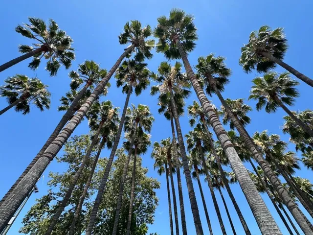 88 Bush Street 3189, San Jose, California 95126