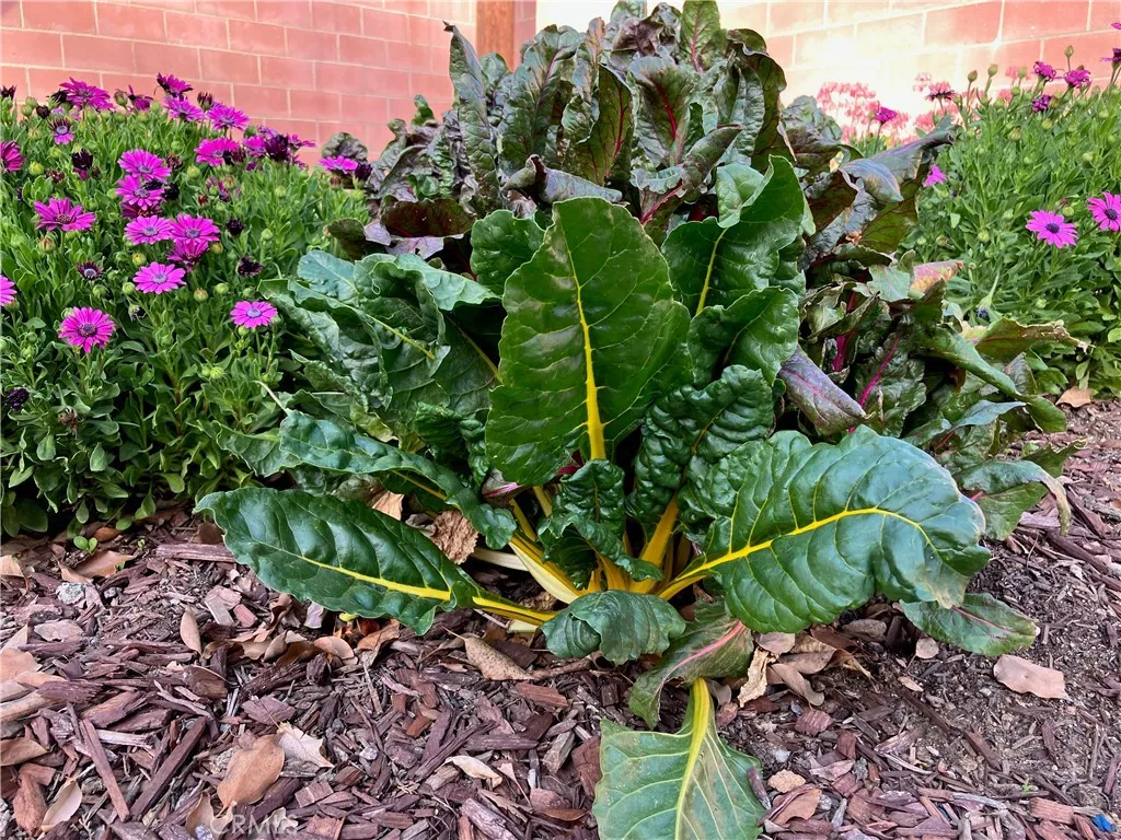 6914 Andasol Avenue, Lake Balboa, California 91406 home-pic-36