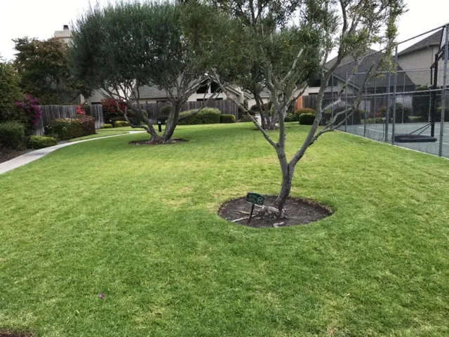 124 Nissen Road 4, Salinas, California 93901