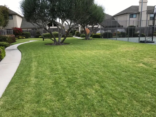 124 Nissen Road 4, Salinas, California 93901