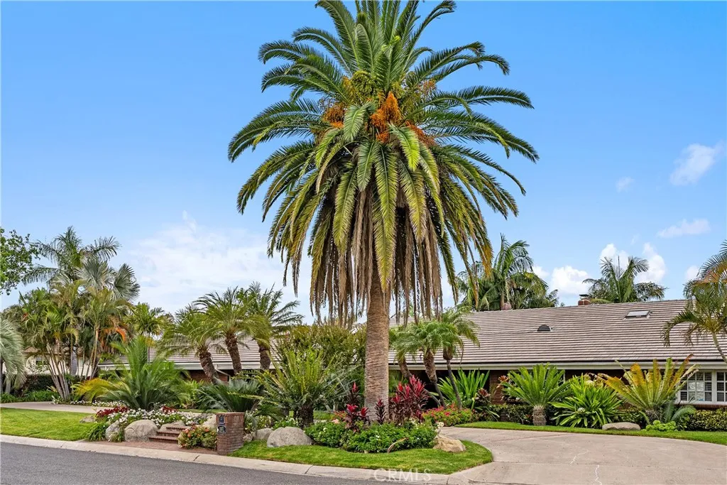 Circular driveway