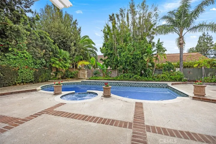 Beautiful Pool
