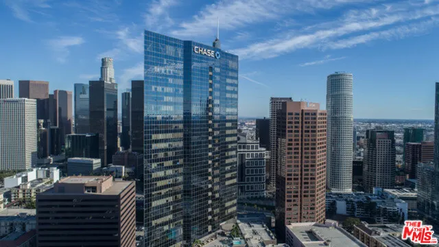 1100 Wilshire 3404, Los Angeles, California 90017 home-pic-35