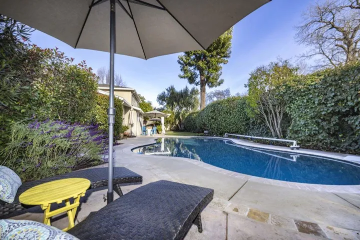 Swimming Pool / Privacy Hedge
