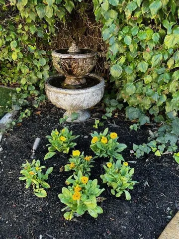 Backyard fountain