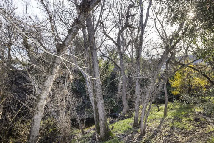 Arroyo trail