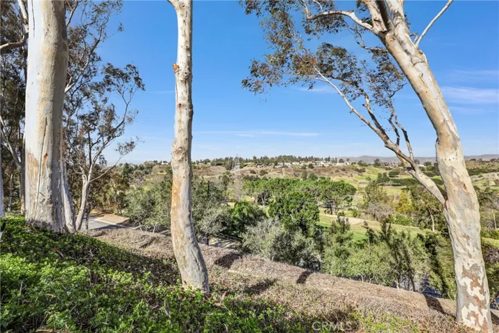 6539 E Camino 1, Anaheim Hills, California 92807