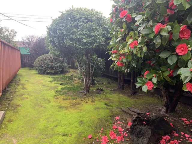 2226 Isabelle Avenue, San Mateo, California 94403