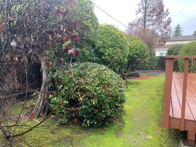 2226 Isabelle Avenue, San Mateo, California 94403
