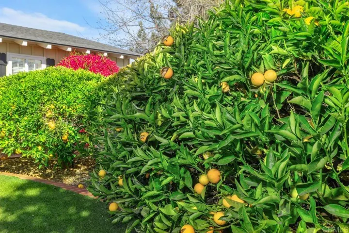 445 Idaho Avenue, Escondido, California 92025