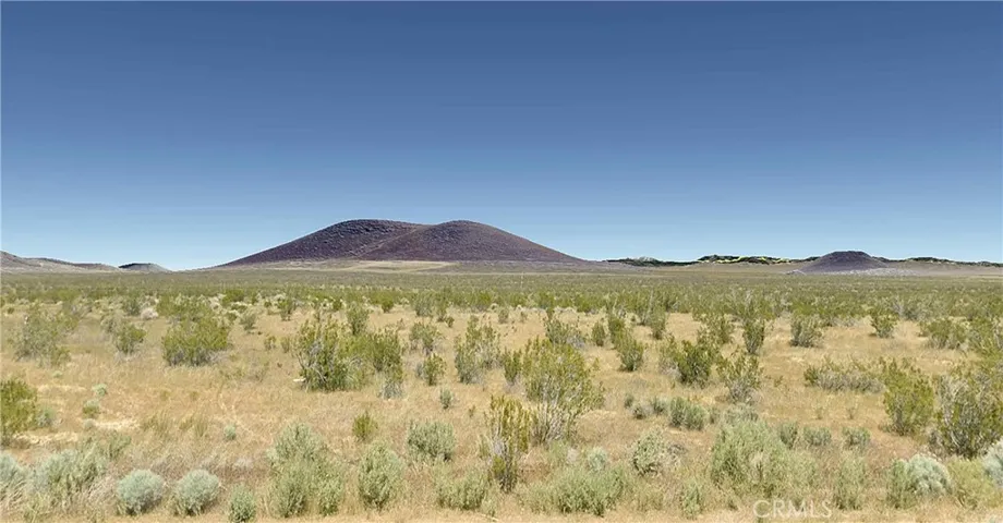 Looking East