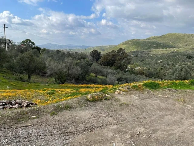 2959 Vista De La Rosa, Jamul, California 91935