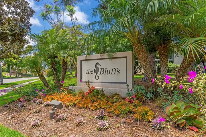 The Bluffs
