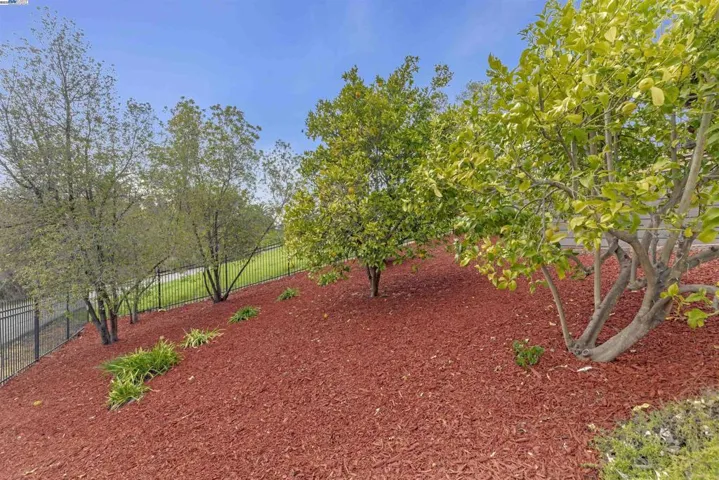 43533 Gallegos Ave, Fremont, California 94539