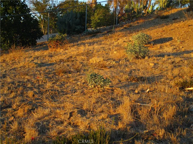 14 Paseo Vivora, Menifee, California 92587