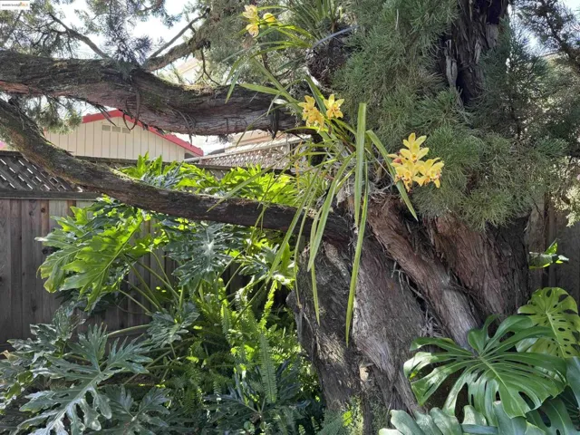 175 Lavell Rd, Santa Rosa, California 95403