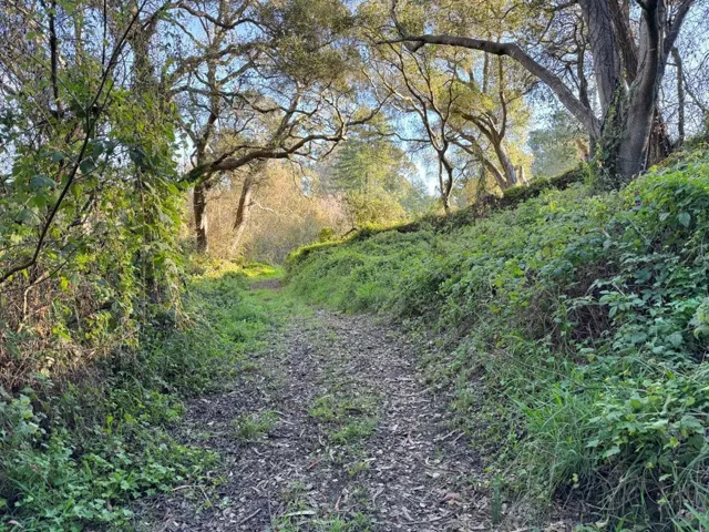 2603 Monterey Avenue, Soquel, California 95073