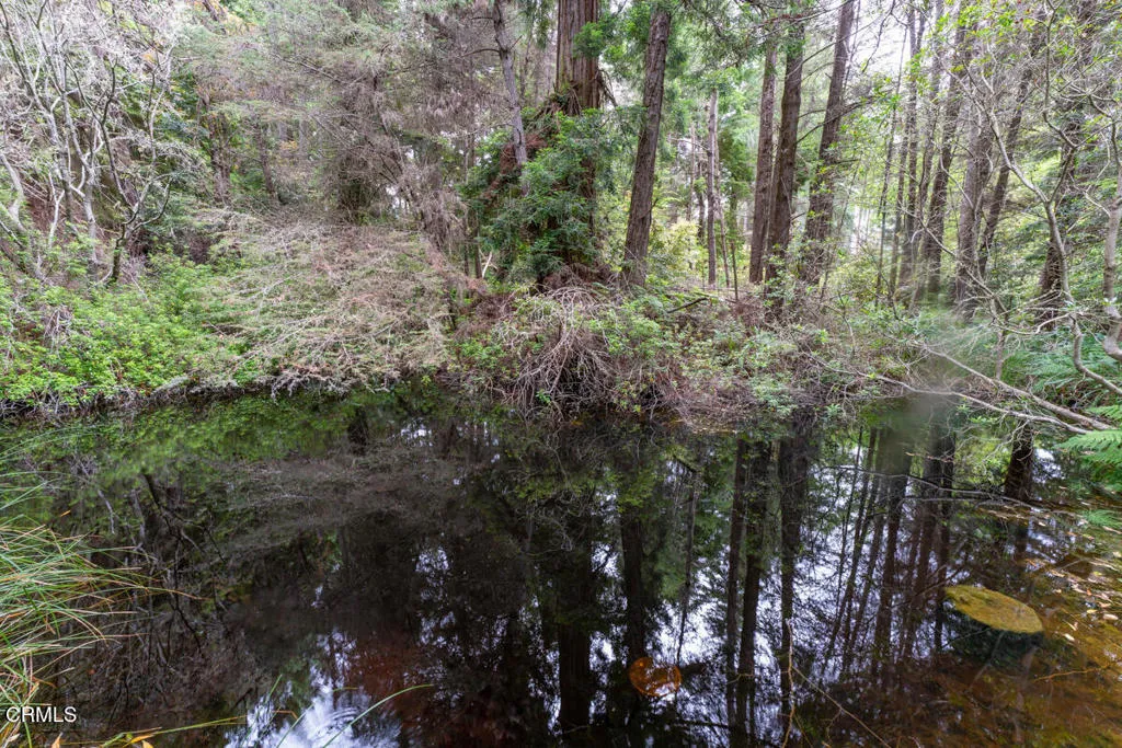 gallery-image 5