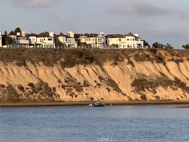 Castaways from Newport's Back Bay