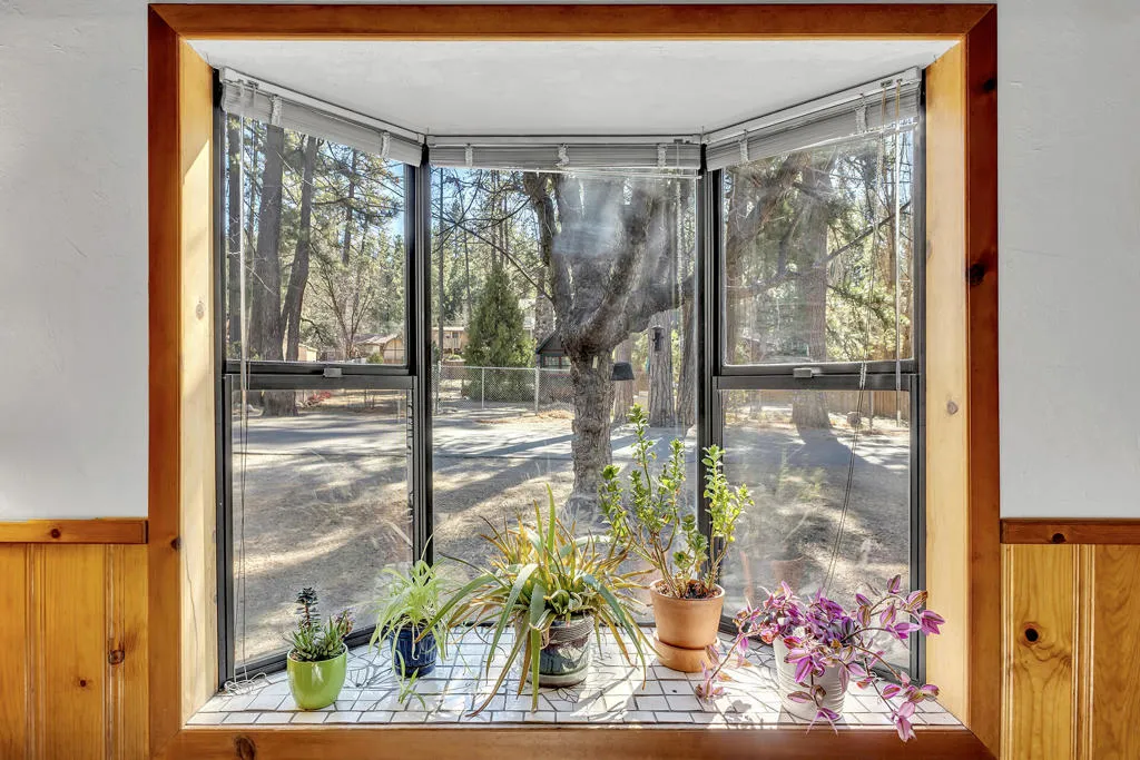 53340 Idyllbrook Drive, Idyllwild, California 92549 home-pic-15
