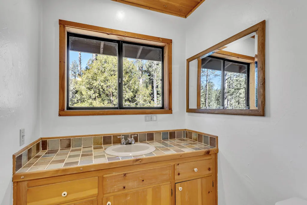 53340 Idyllbrook Drive, Idyllwild, California 92549 home-pic-55