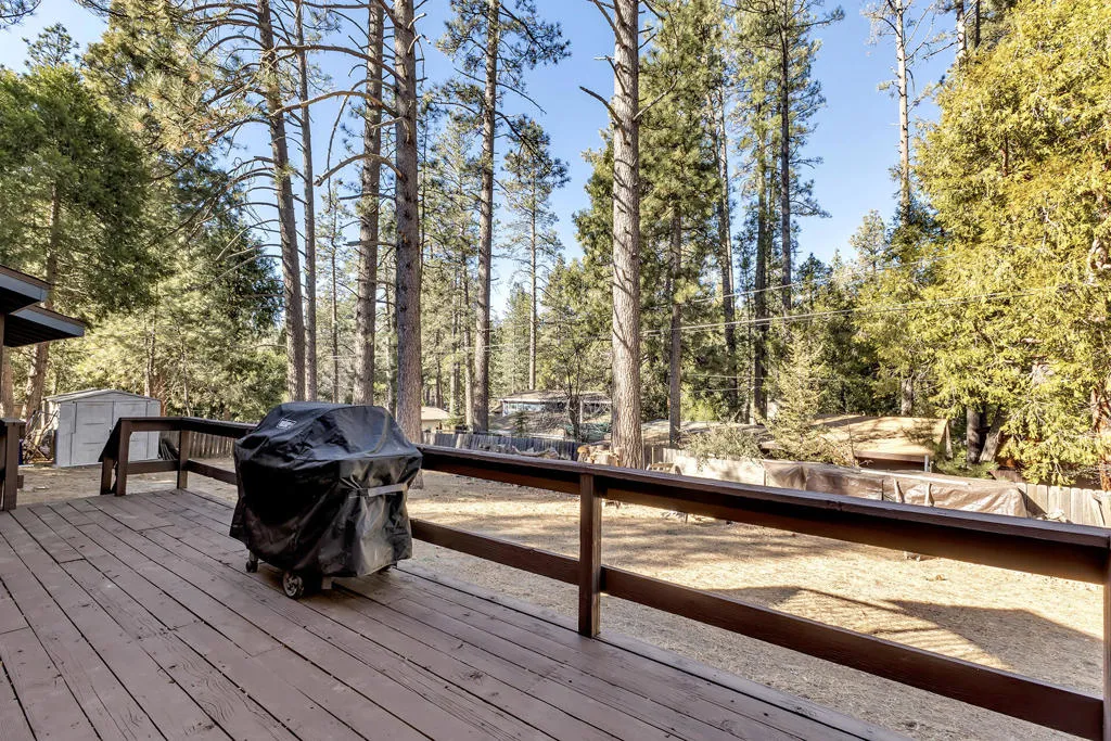 53340 Idyllbrook Drive, Idyllwild, California 92549 home-pic-59
