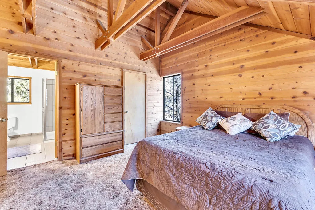 53340 Idyllbrook Drive, Idyllwild, California 92549 home-pic-46