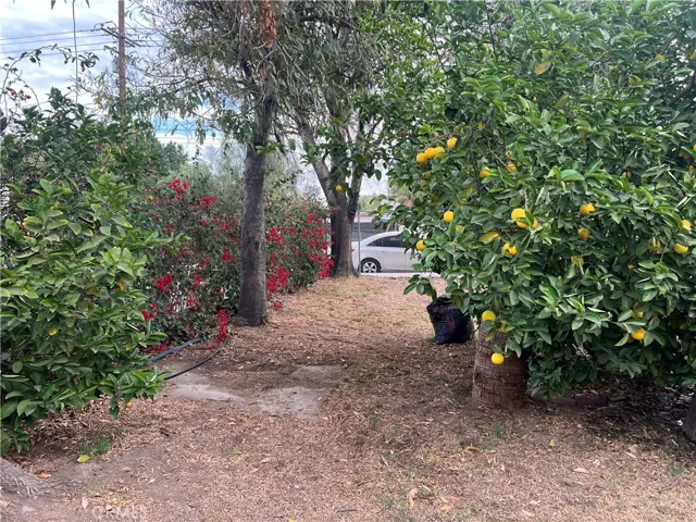 18489 Santa Ana Avenue, Bloomington, California 92316