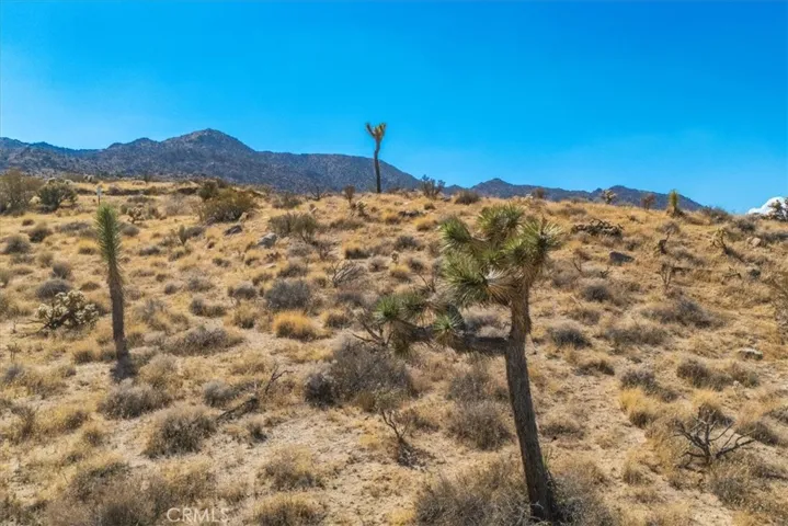 62676 Quail Springs Road, Joshua Tree, California 92252