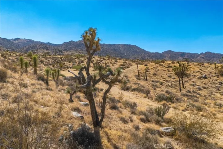 62676 Quail Springs Road, Joshua Tree, California 92252