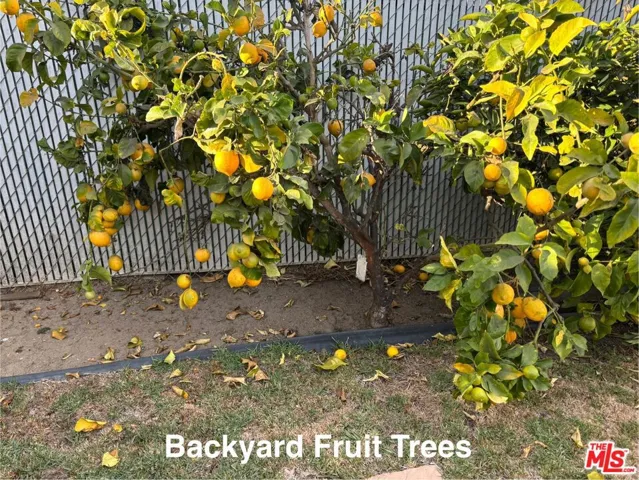 3817 Midway Avenue, Culver City, California 90232