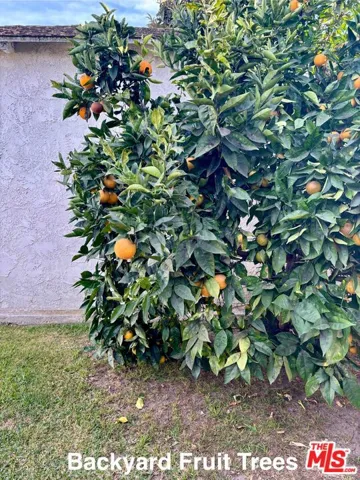 3817 Midway Avenue, Culver City, California 90232