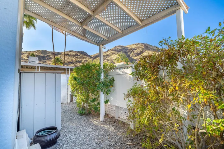 Back yard