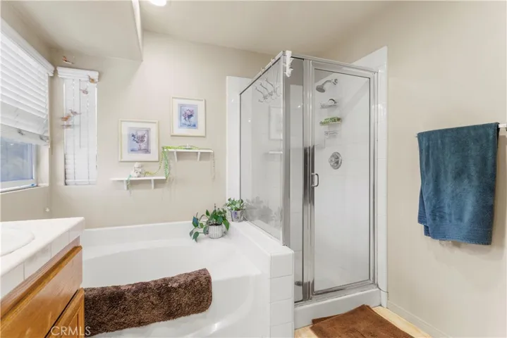 master bath and shower