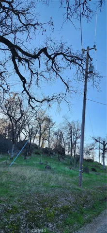 Power pole on property by the road