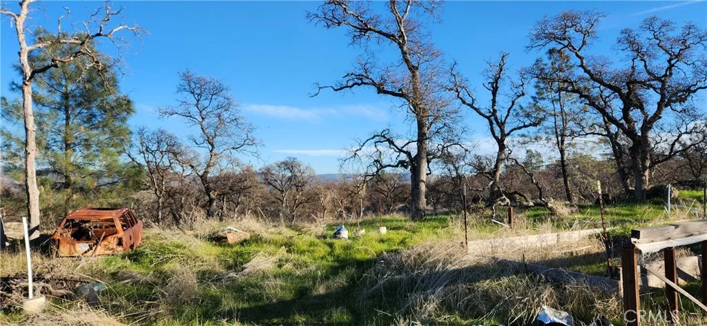 Take down some trees & open up the views