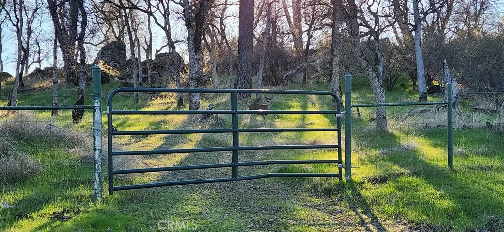 Fenced Entrance Gate