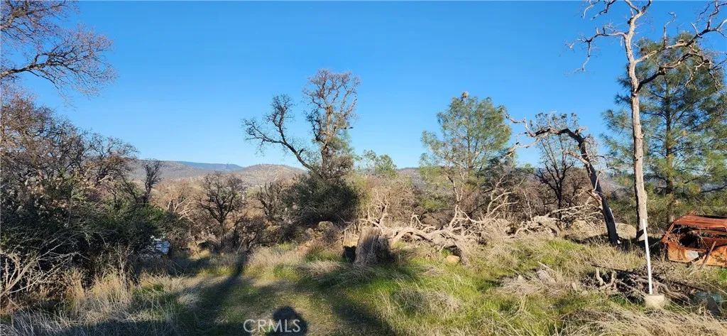 0 Sunny Hills Road, Bangor, California 95901
