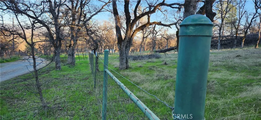 T post and wire fencing