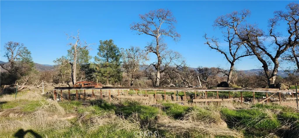 Take down some trees & open up the views