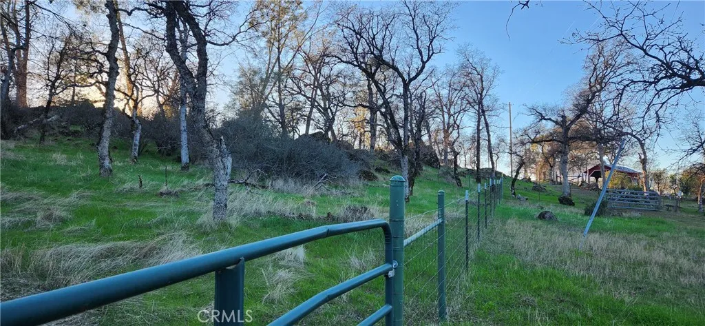 T post and wire fencing
