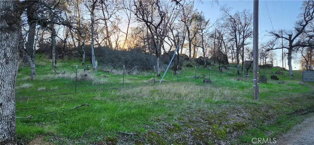0 Sunny Hills Road, Bangor, California 95901
