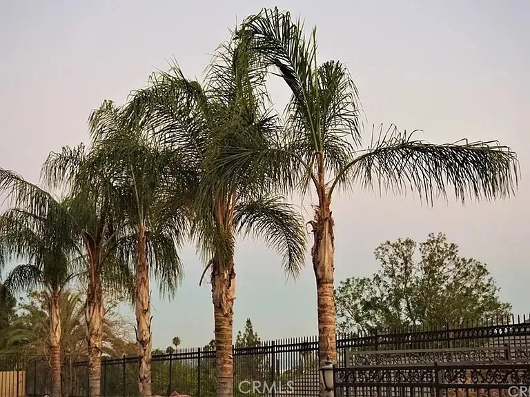 1481 Terracita Drive, San Bernardino, California 92404 home-pic-41