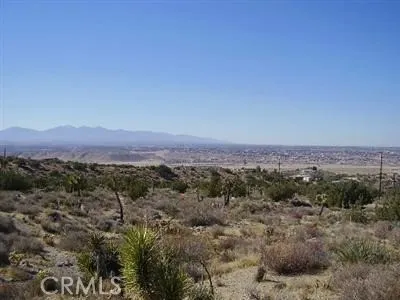 view to the west
